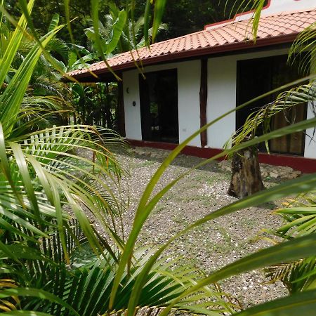 Villas Jungle 5 Sámara Εξωτερικό φωτογραφία