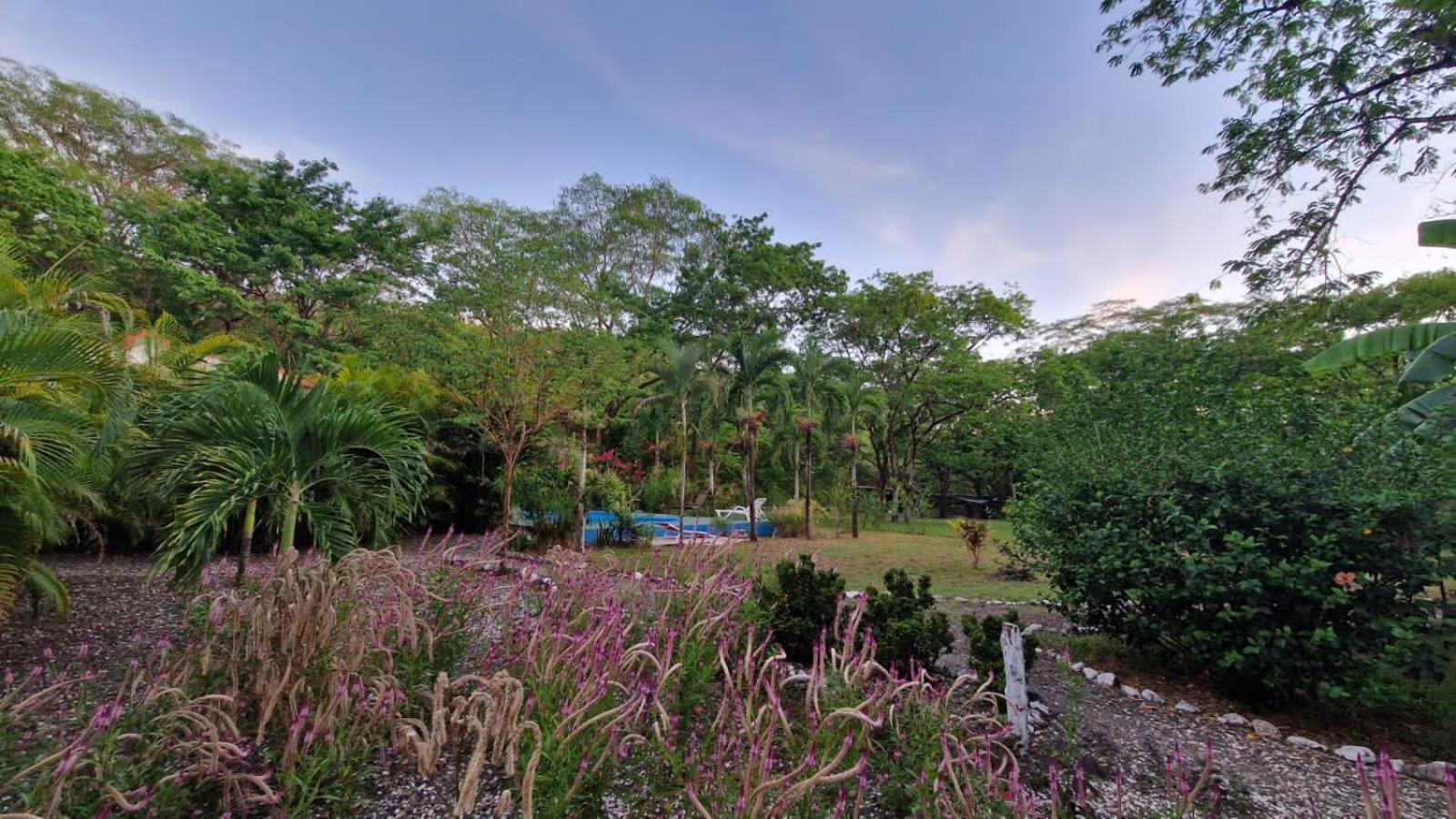 Villas Jungle 5 Sámara Εξωτερικό φωτογραφία