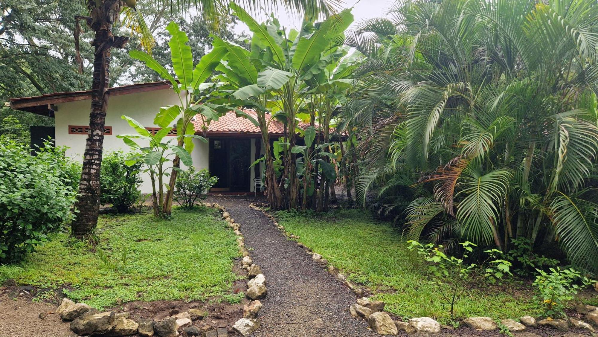 Villas Jungle 5 Sámara Εξωτερικό φωτογραφία